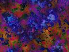 scienceimage