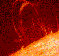 Post Flare Loops on the Sun